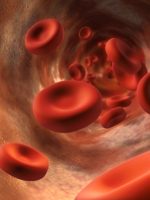 platelets blood cells. lood cells